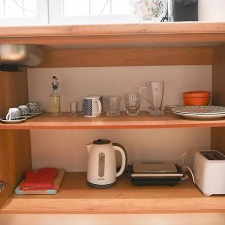 Matisse No13 - Center * 地拉那